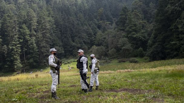 f608x342-129402_159125_15