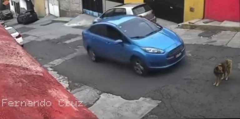 0d106eb6-b0f1-4baa-9320-9a4a17d45b87