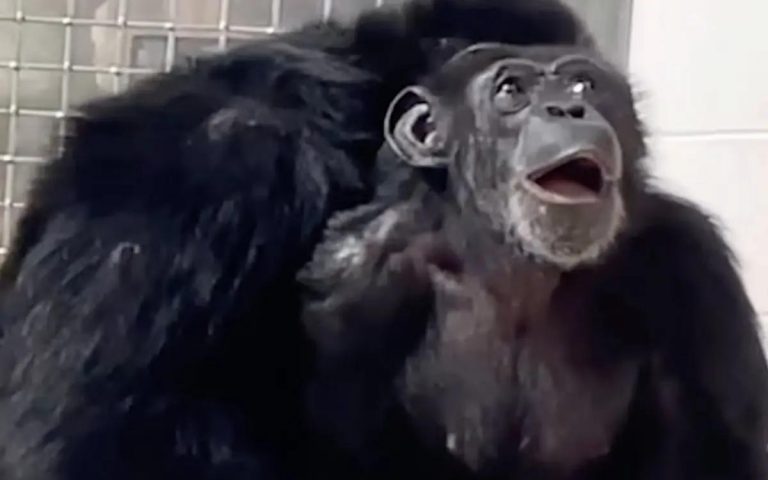 16c594eb-0abd-4738-9861-f5db2b24cfb5