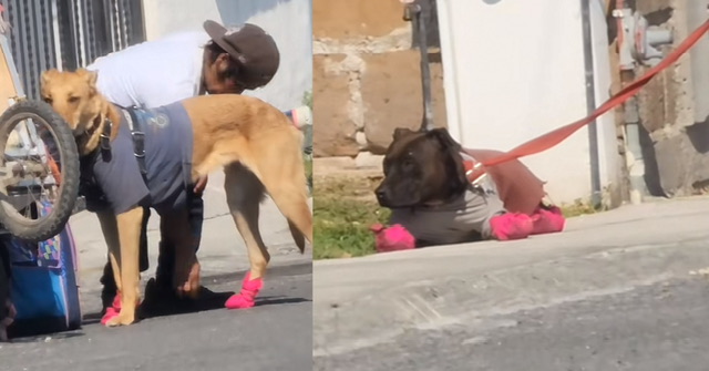 20F3CCE5-4DEF-4995-AF85-1BF0800F3378