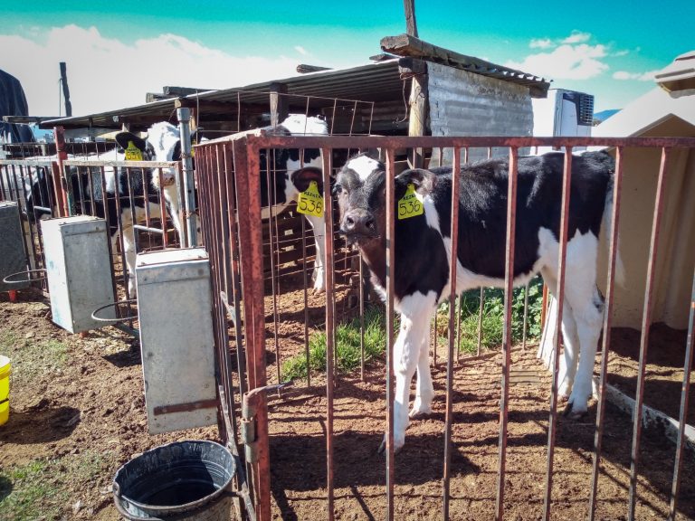 WhatsApp Image 2023-06-01 at 13.27.21