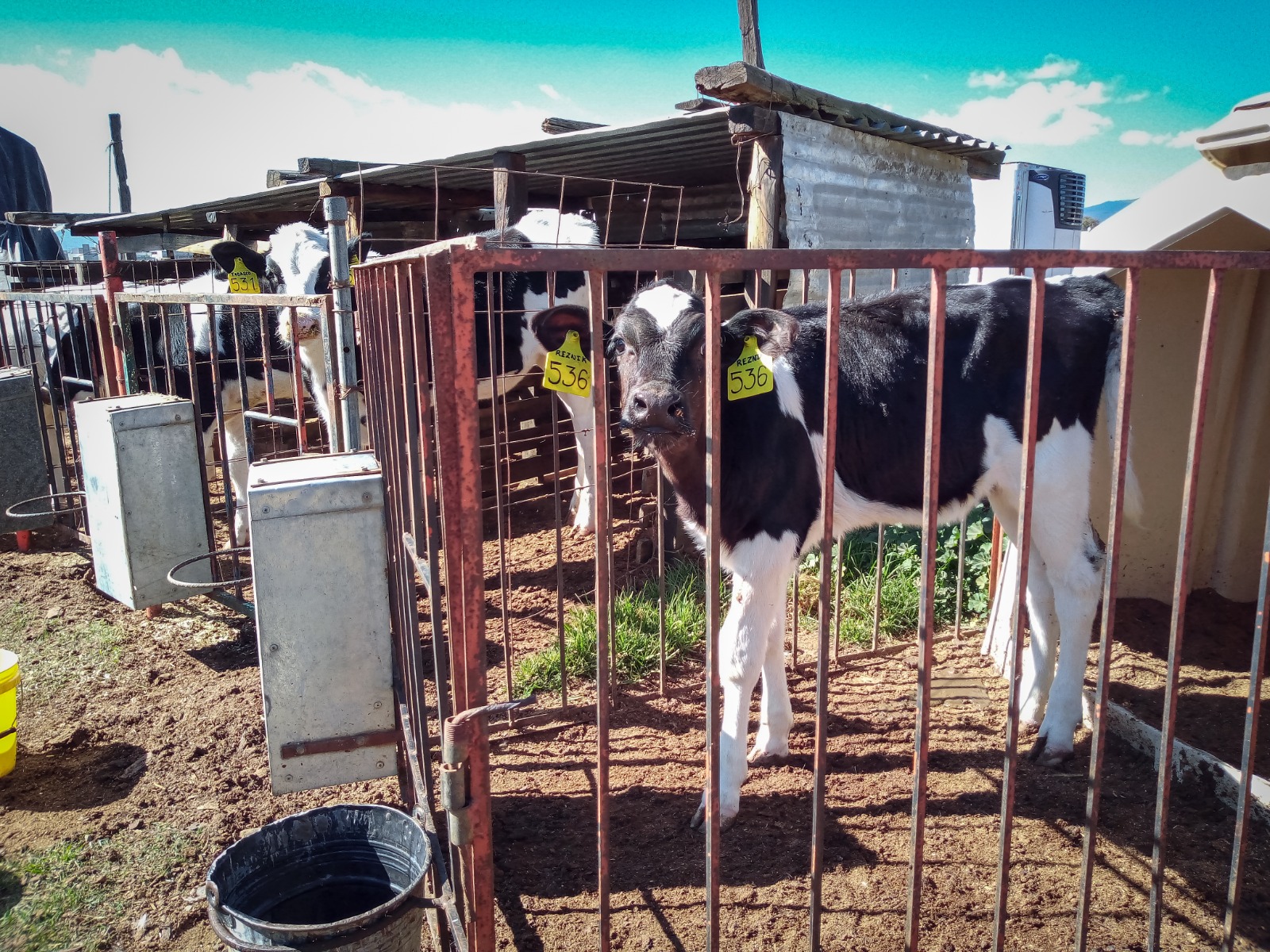 WhatsApp Image 2023-06-01 at 13.27.21