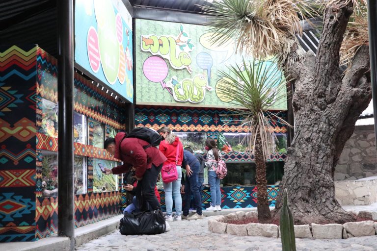 WhatsApp Image 2023-06-06 at 09.05.09