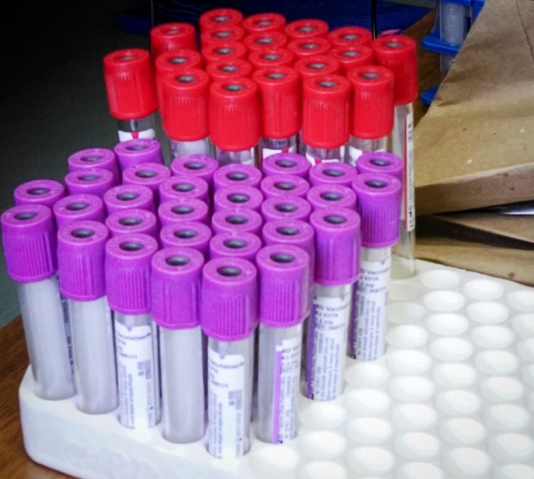 WhatsApp Image 2023-06-14 at 09.05.51