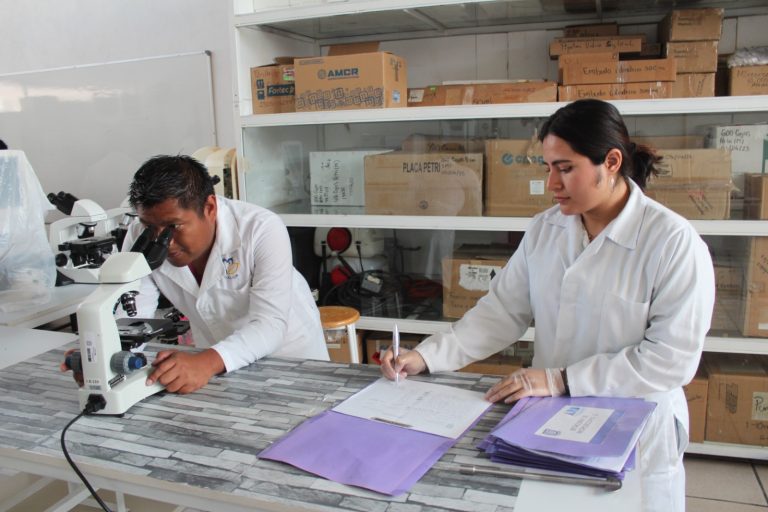 WhatsApp Image 2023-06-16 at 11.04.30