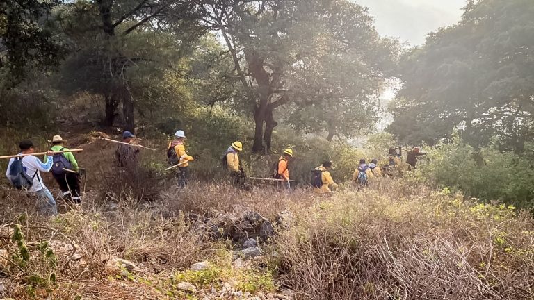 WhatsApp Image 2023-06-22 at 09.28.22