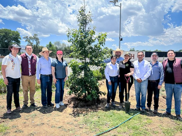 19_julio_2023_SEMARNATH_Árbol-2
