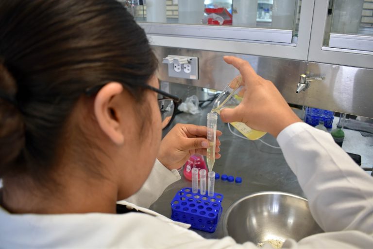 WhatsApp Image 2023-07-10 at 11.40.15