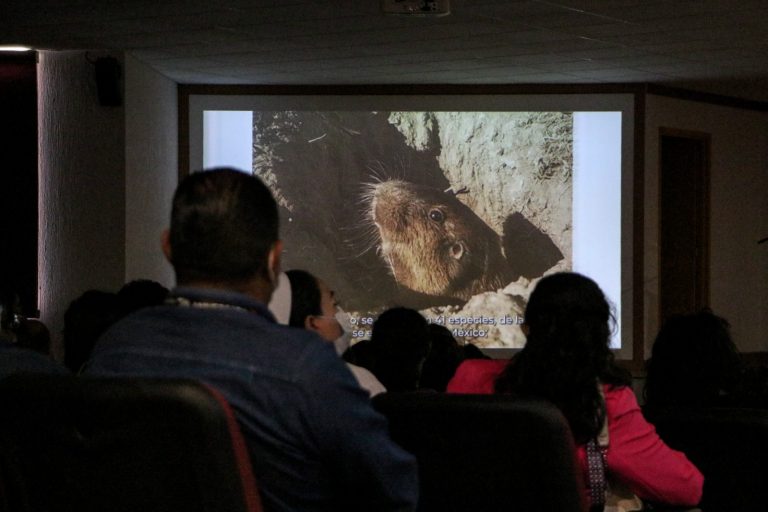 WhatsApp Image 2023-07-25 at 11.41.03