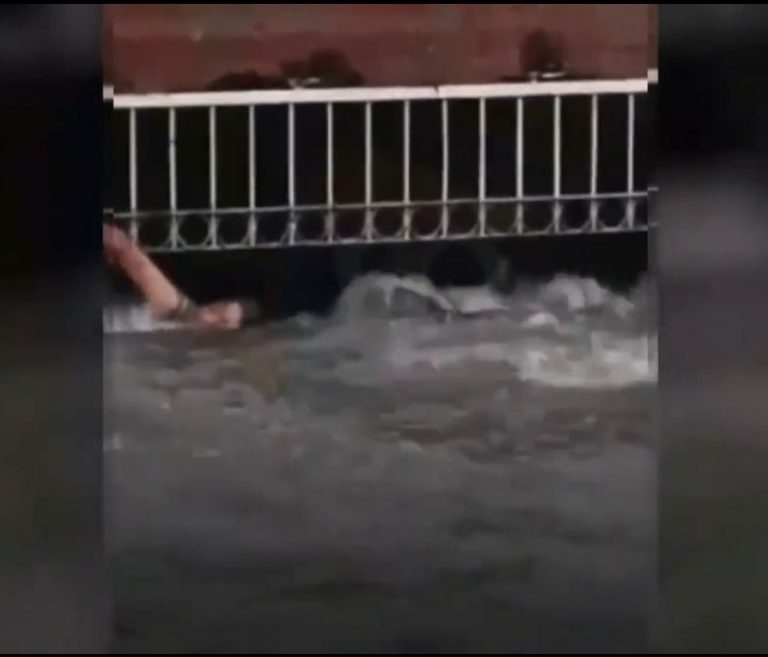 17208f3c-e234-46b3-ab08-608489049fba