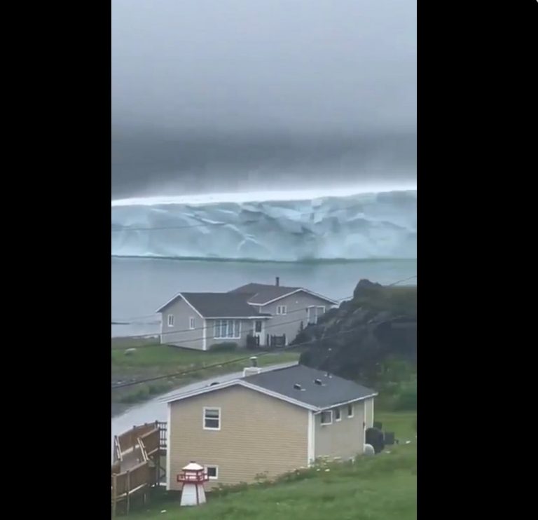 1ca491bb-bd6b-4f76-8584-fa3f3ed07c8f