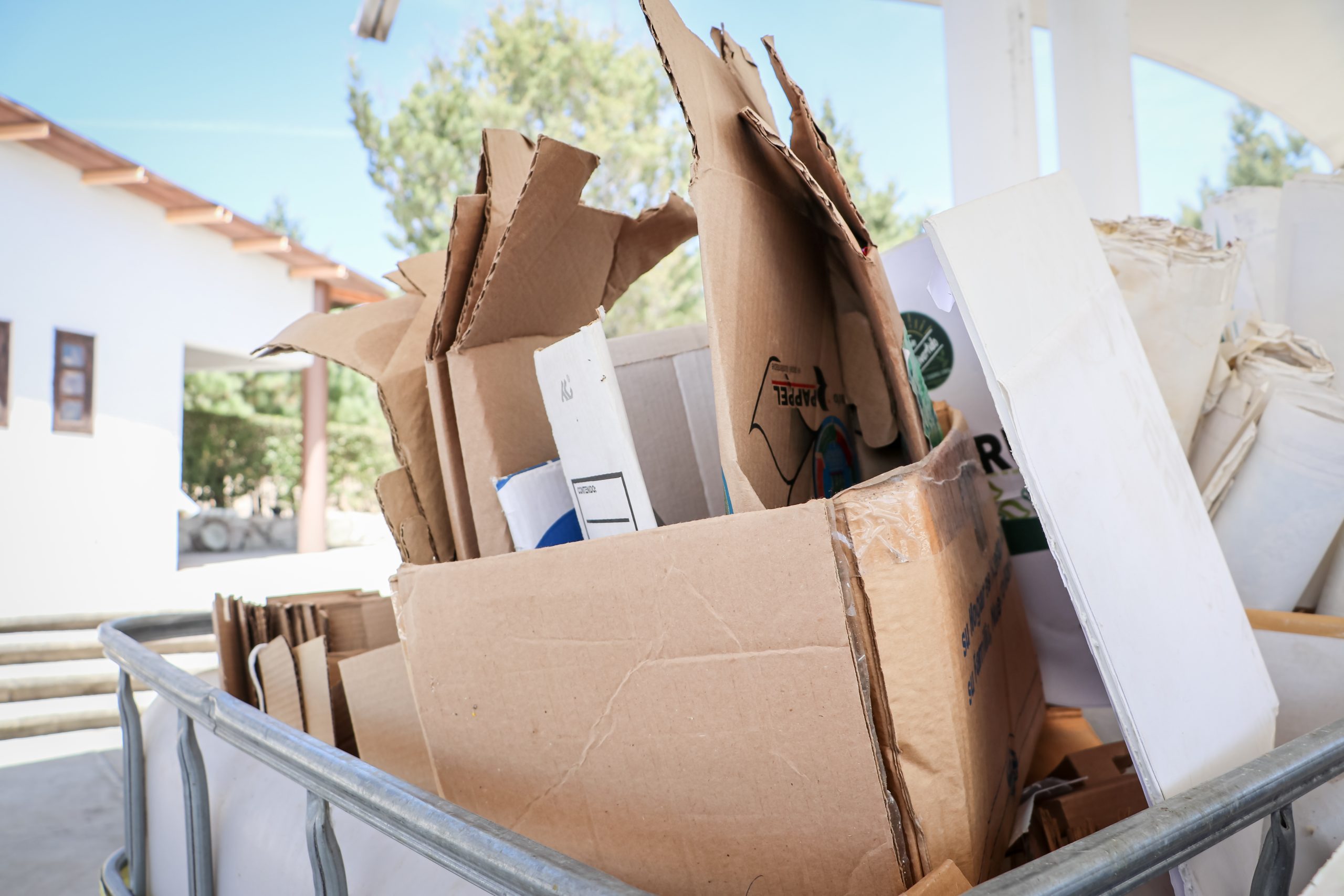 23_Agosto_2023_SEMARNATH-1