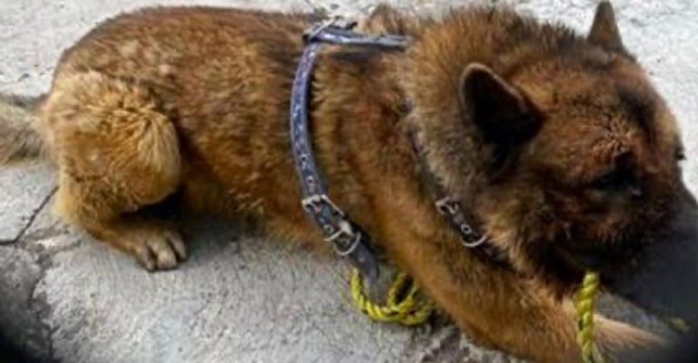 45fc482f-0db6-42f5-b077-4afe1b1d1d8c