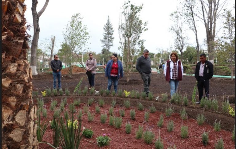 WhatsApp Image 2023-08-10 at 12.52.13