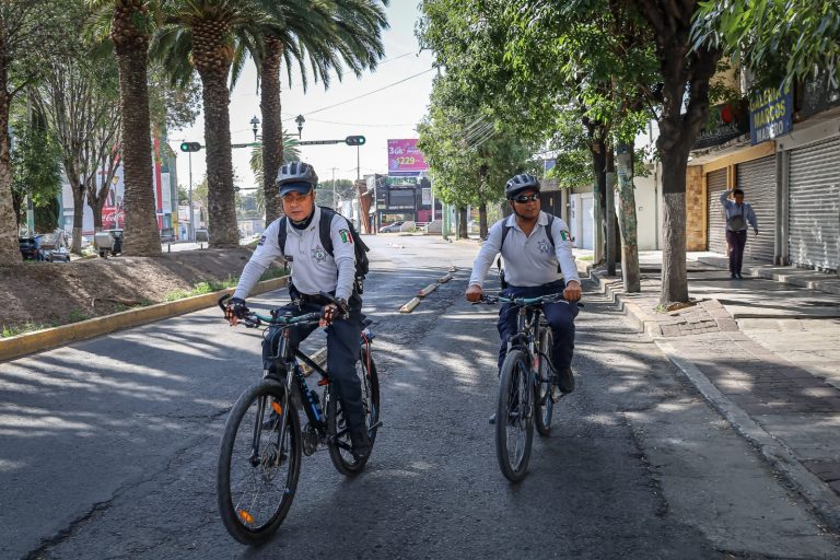 WhatsApp Image 2023-08-11 at 09.30.21 (3)