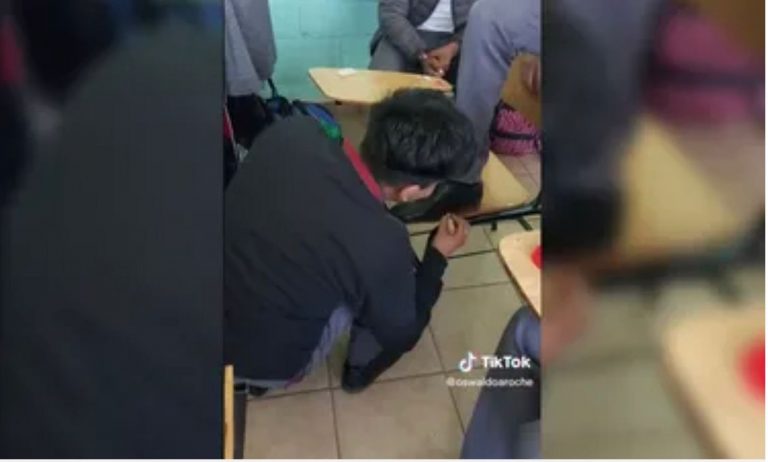 d1f98a22-c001-4f33-91bc-a833ed023186