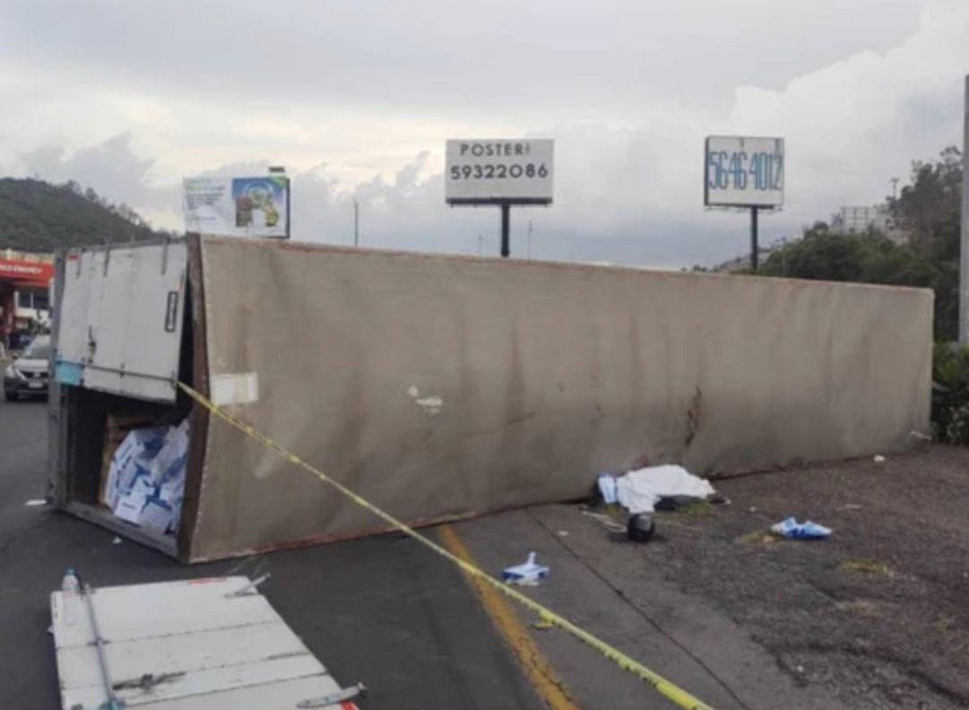 e39b91c7-3ff9-4fc4-8c0e-b2c065a995b6