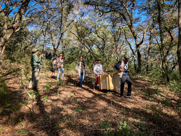 26_Septiembre_2023_SEMARNATH-6