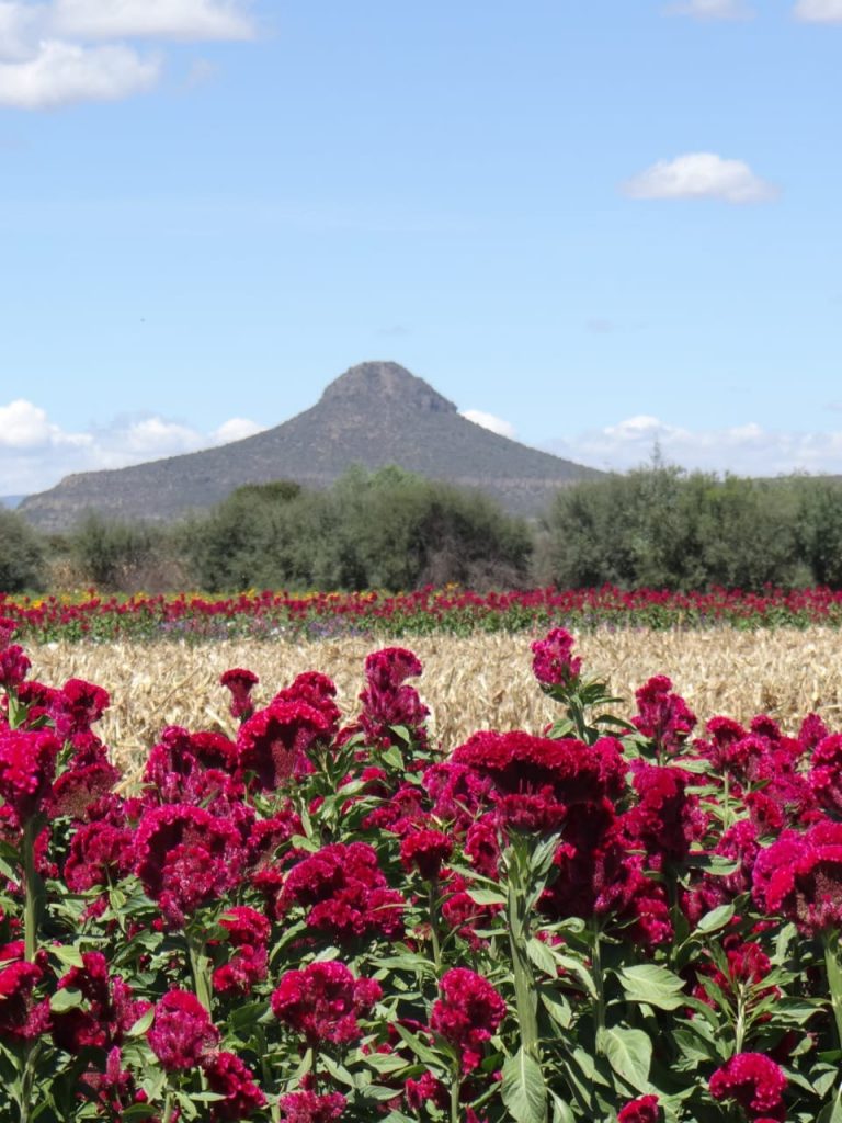 d779ab72-74a0-48da-9e03-c66e7d67bb9d