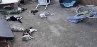IMG-20240425-WA0023