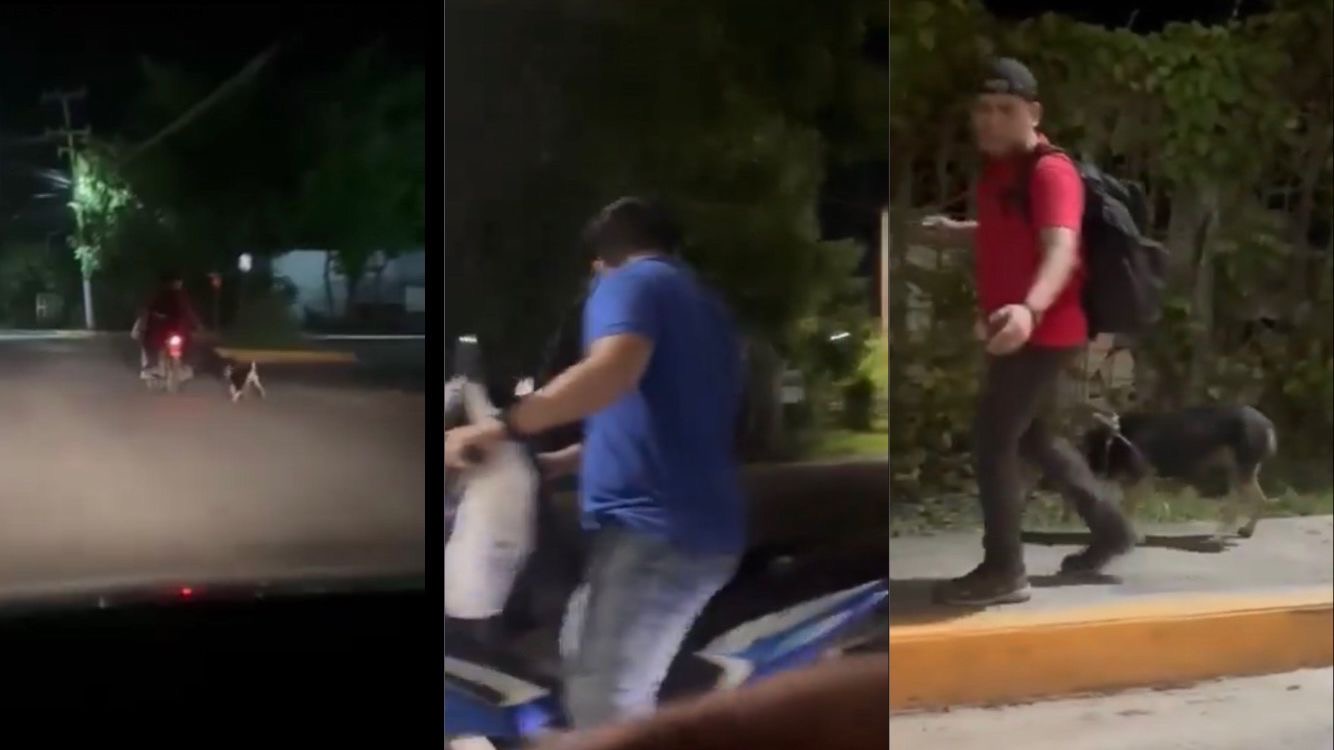 b092cb1f-dec7-4e96-911c-dbb3db6fe0d2