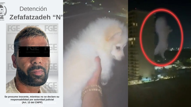 39a6b169-96ab-4855-9662-56c9cd03a51d