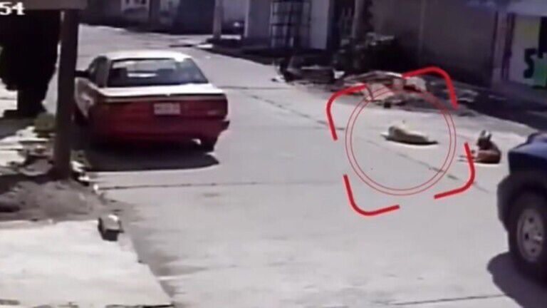 45cc307f-2249-47d5-9bdd-17e35edcf568