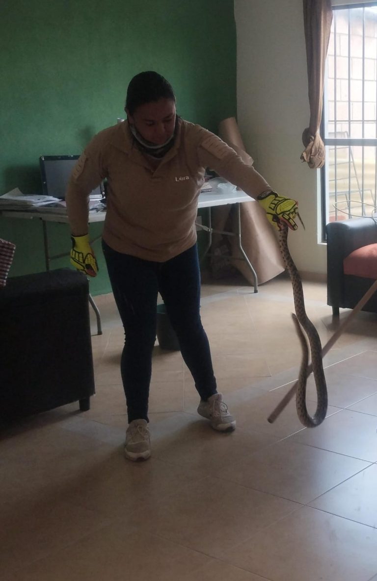 172d5ed0-5db9-4f78-8c42-b9a94b470a1e