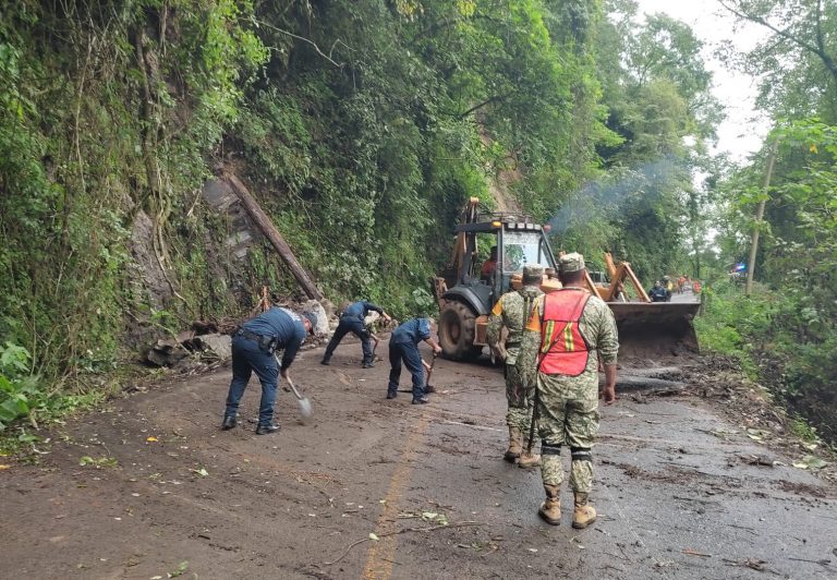 4a2f2c06-9cb4-40e0-870a-e06fba53b259