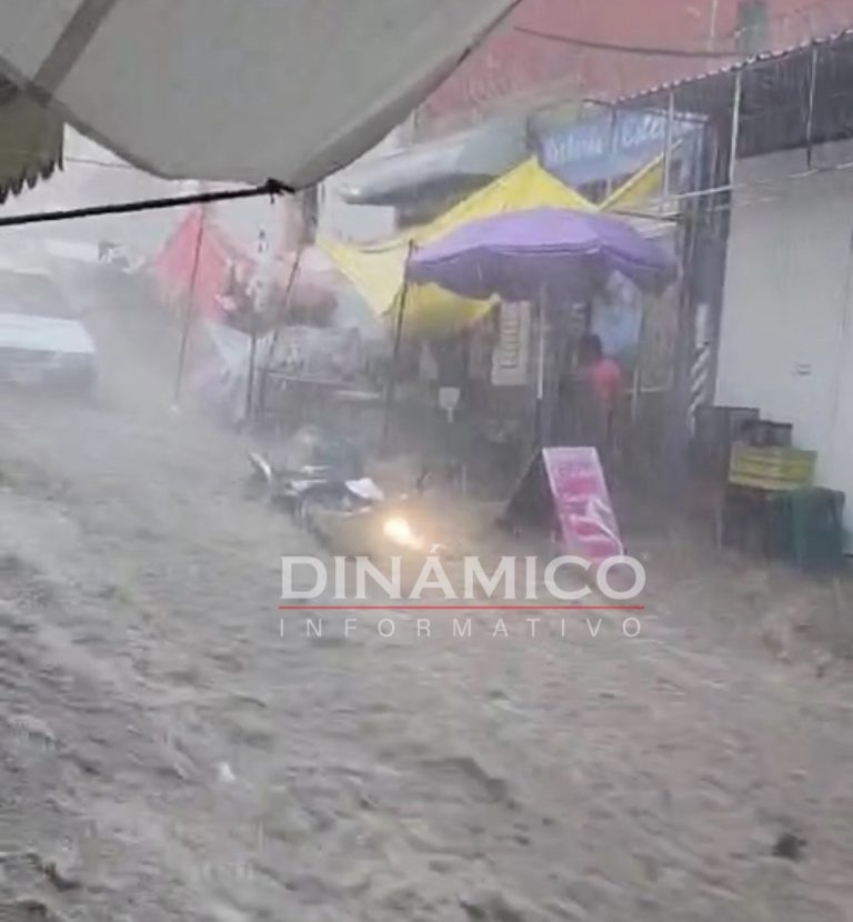 AD83B8F3-184B-4BB2-9C2F-AF69C21B9159