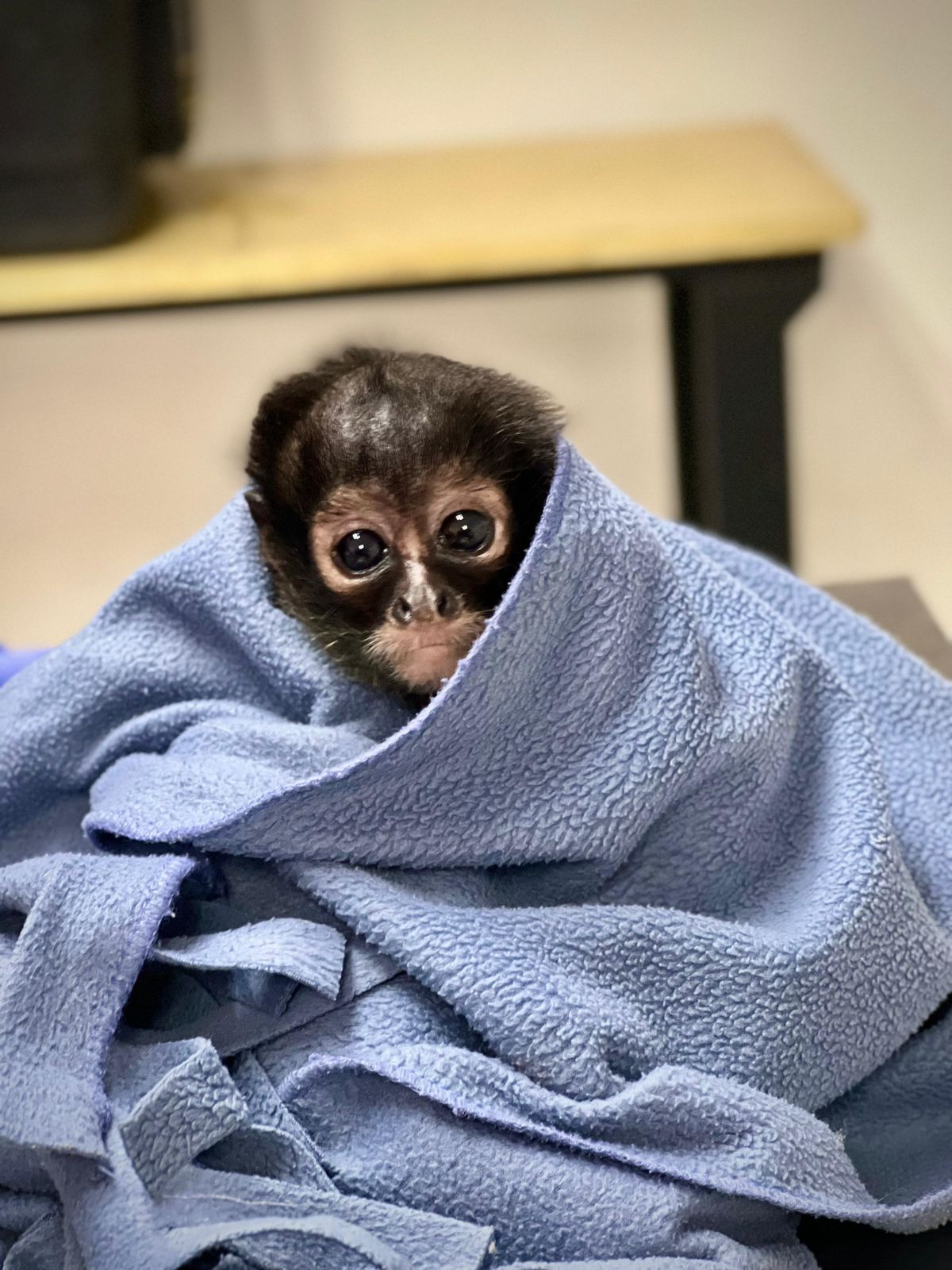 a13a13f7-3a48-4415-ac12-4f5809be10fd