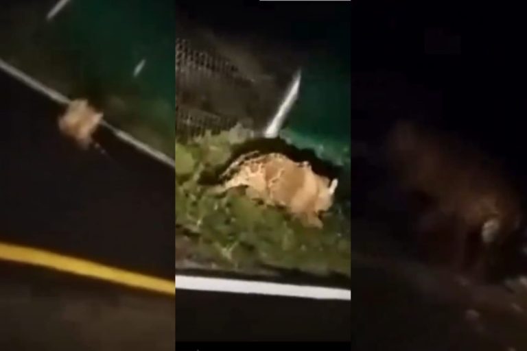 dc4932ad-f6ef-441a-bb8f-d2aabd4f7453