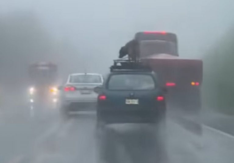 ead4da0f-aede-4fa3-96ea-2e76316430f4