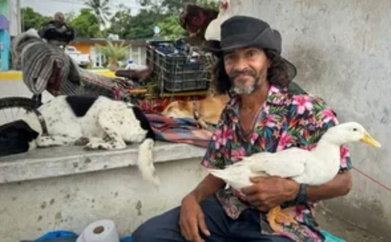 ec3feb13-5c2e-4a61-be43-804eb0d815e5