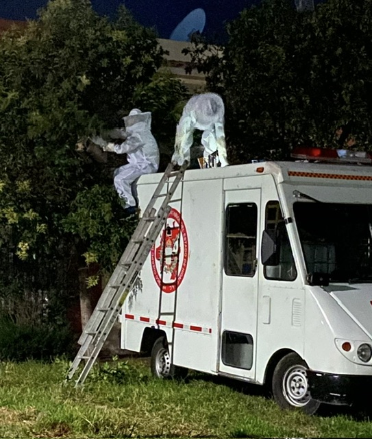 58e9cddc-ede8-4614-b44d-485534753968