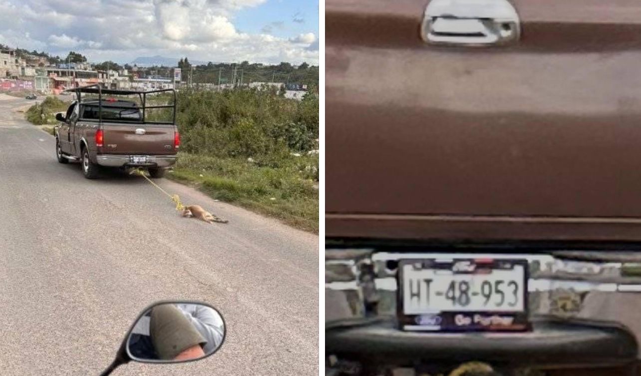 6d92d814-fe37-4d77-ac20-2f051aaa8f9c