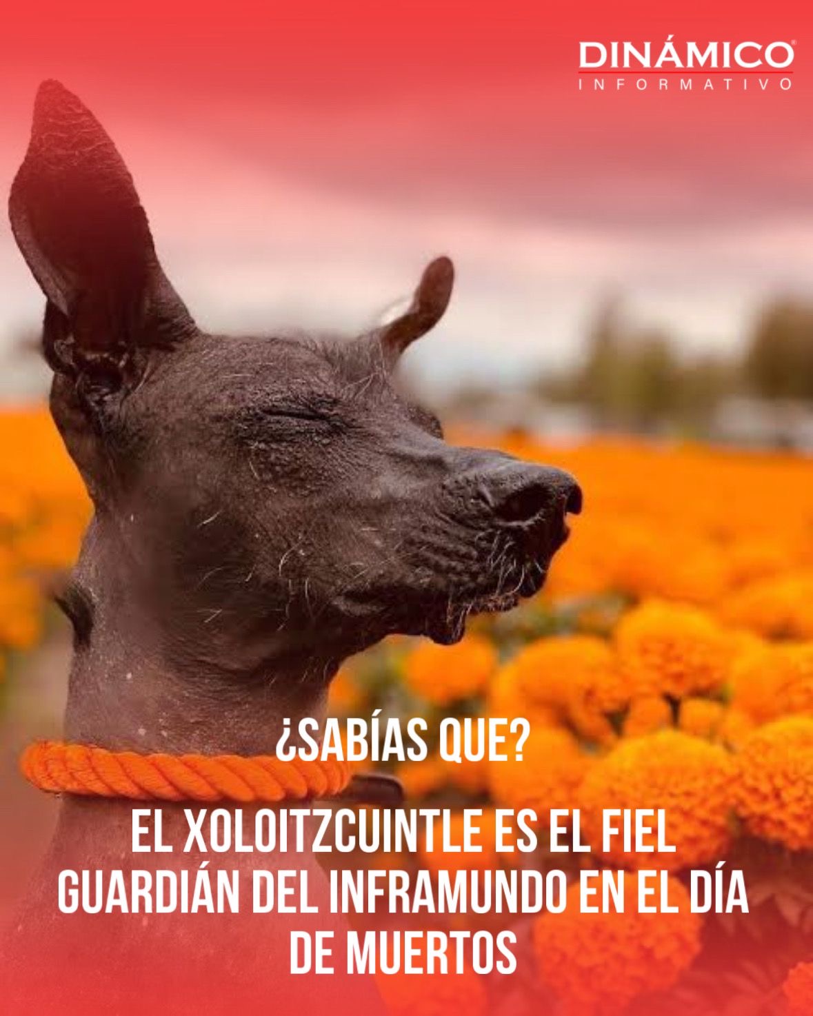 d594dea4-9d8a-445b-8248-e9c997dd79a8