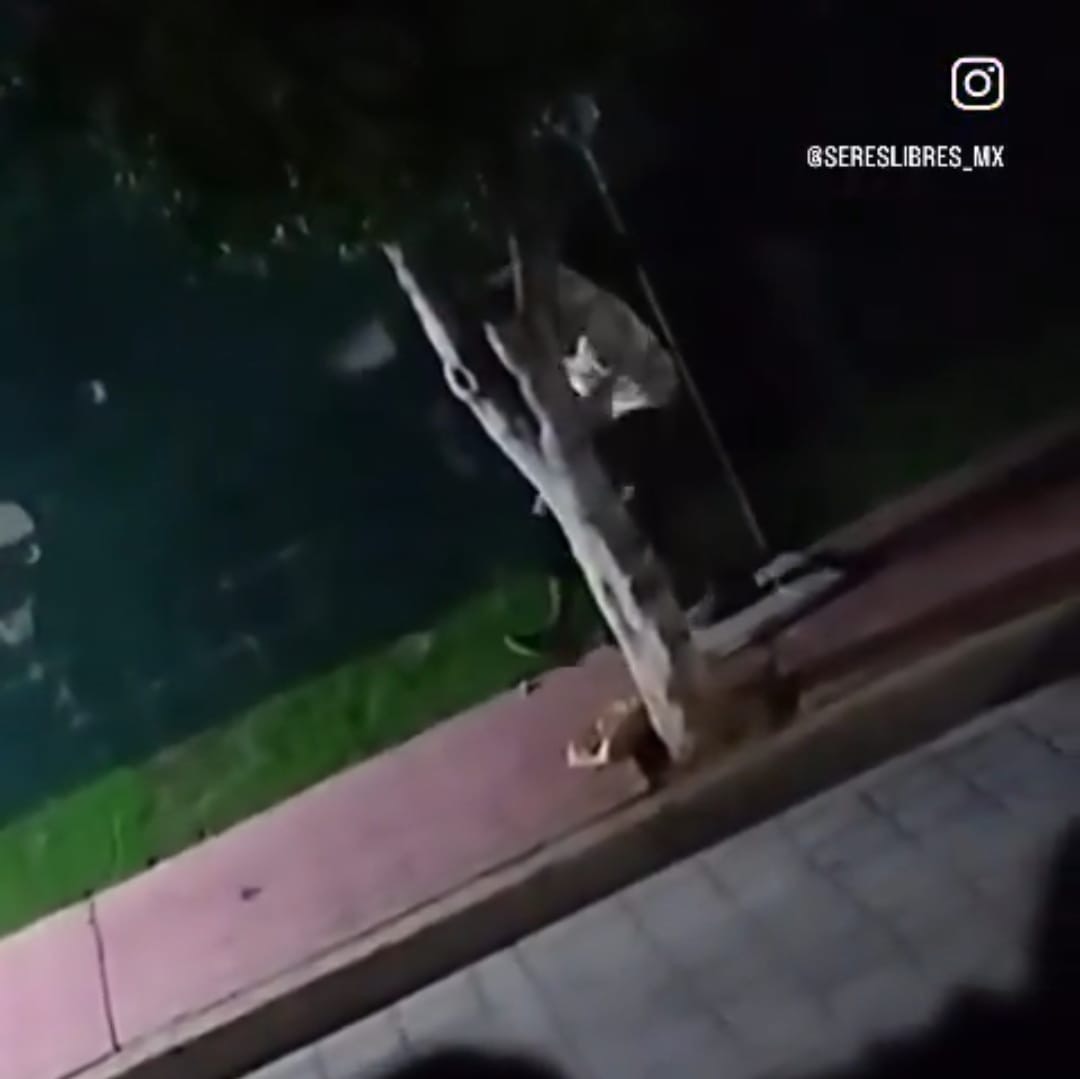 e3896cb7-3b95-4146-88e4-f83ca5811013