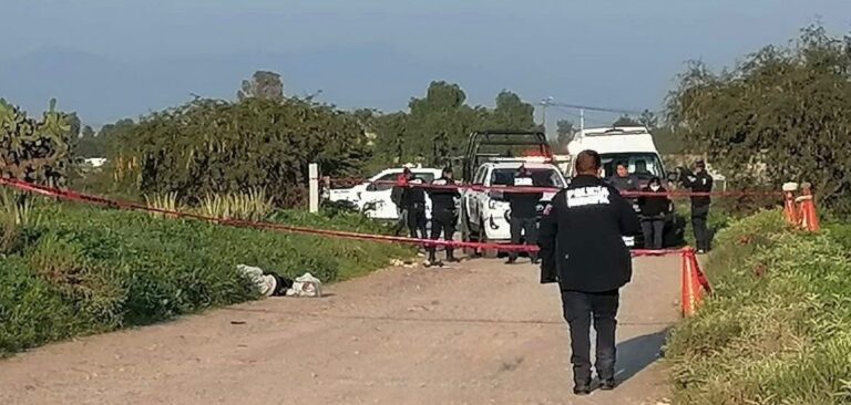 145128c4-4474-412e-8528-efddae6ce622