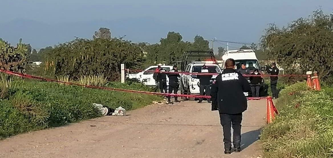 145128c4-4474-412e-8528-efddae6ce622