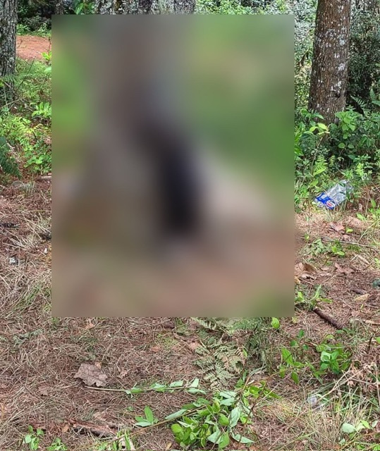 9860eabb-2d7c-4132-b488-f6398d7cfbc9