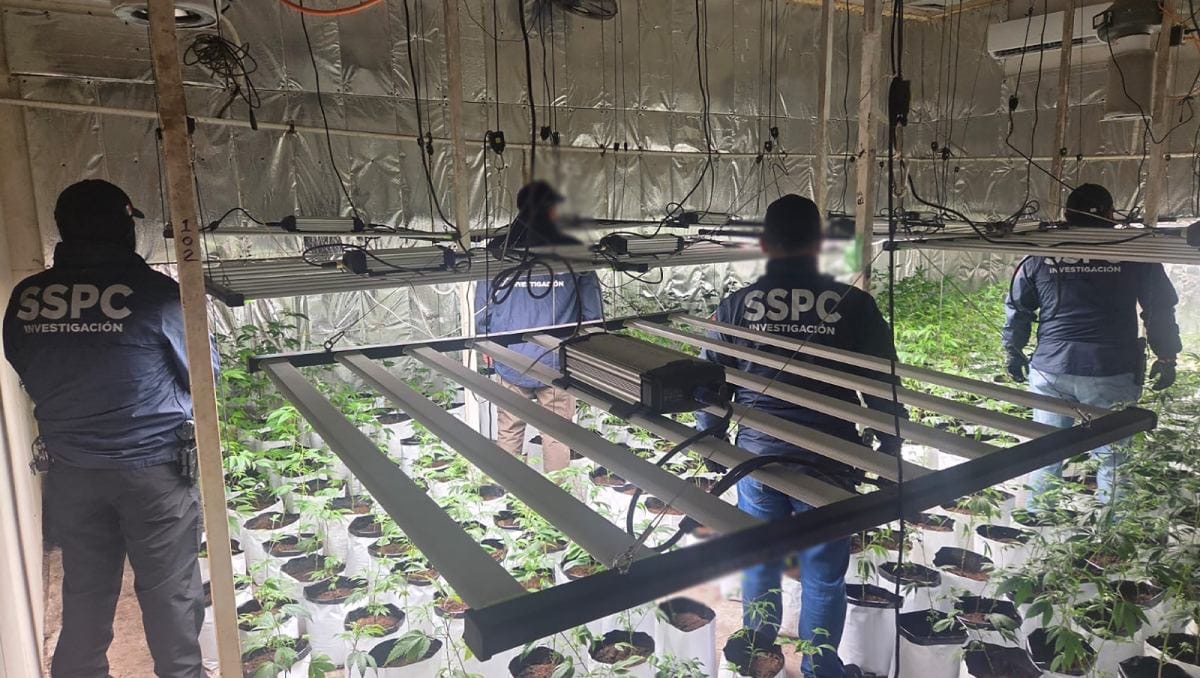 546fb9a0-aa9d-49d6-b0b0-c03f8917b518