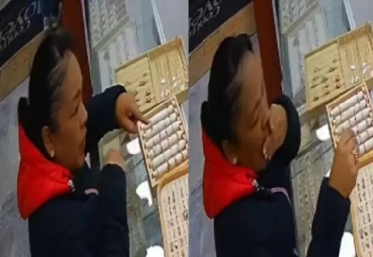 4b1a5209-070e-4c8d-bb32-a4d520f04a6c