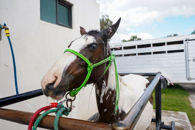 b5d4ec45-a20e-4c75-92e8-18a83169ff3c