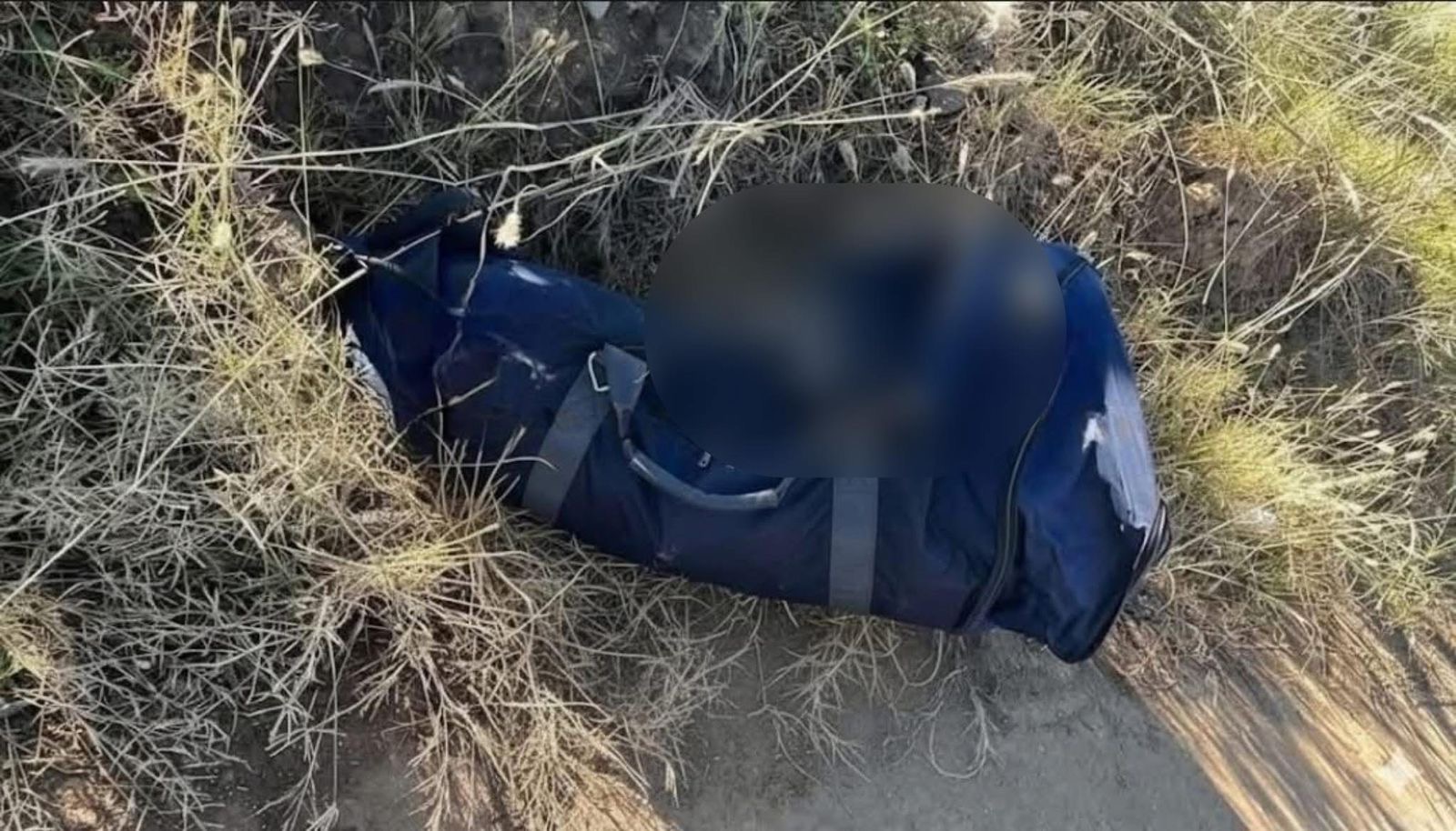 1e2790a8-6f56-492b-9f7a-f43108262081