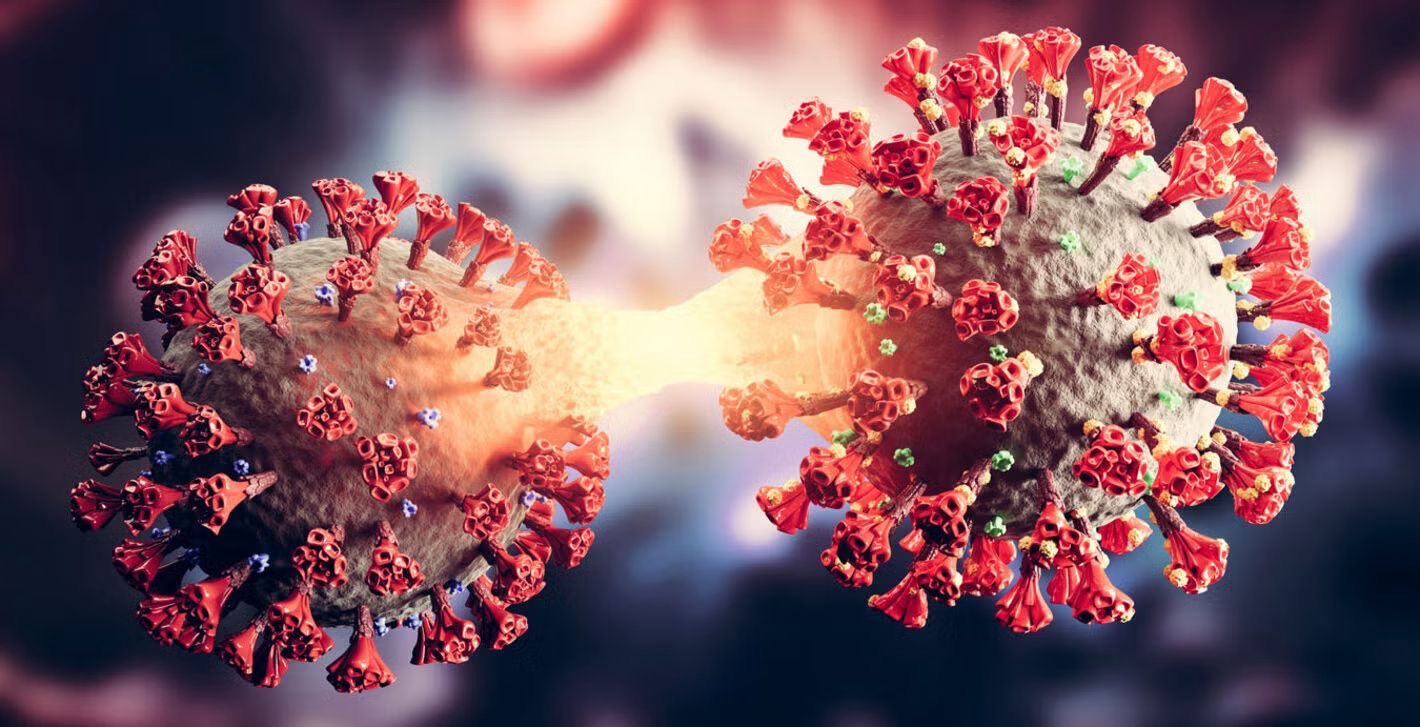 b259ece0-7d8f-480b-9365-a6b5d8381707