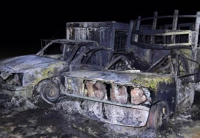 d3b42ae5-c1ee-4282-aec4-0ac2b4b935ad