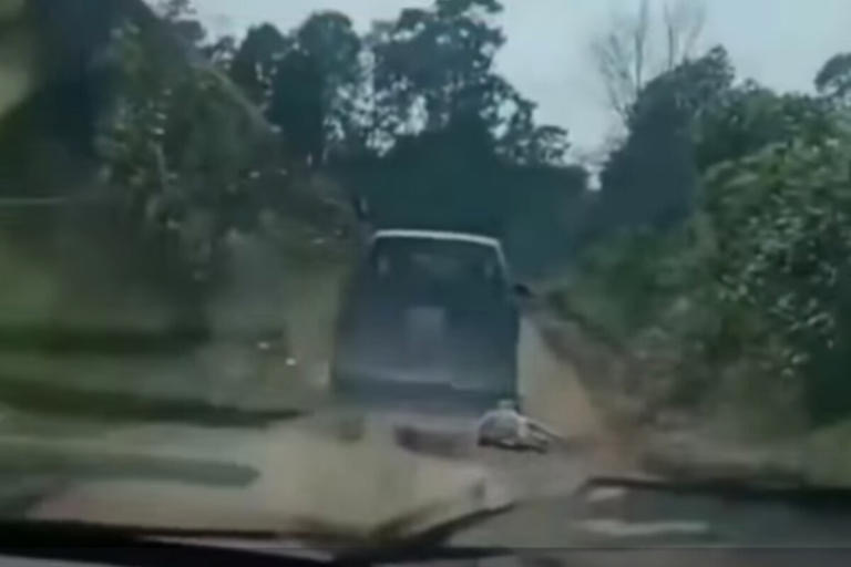 4d497800-55fb-4511-8379-fb8692e5b612