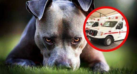 a375a544-89cf-4055-98c7-a8f47e6c81f8