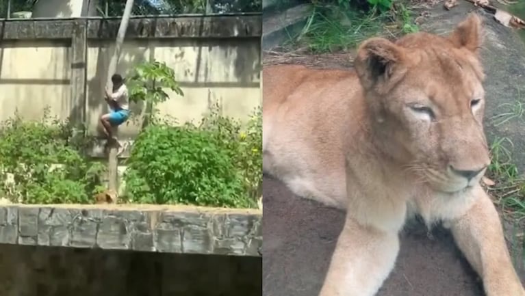 b48aece6-b742-45be-99d4-7831253be8cd